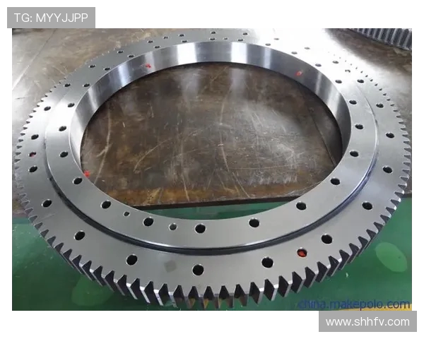 挖掘机回转支撑注黄油